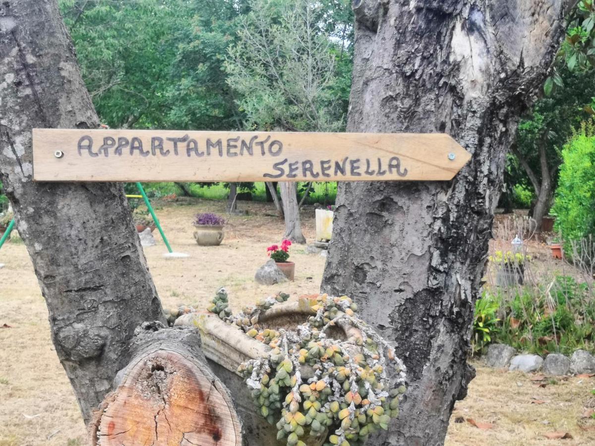 Appartamento Serenella Maenza Ngoại thất bức ảnh